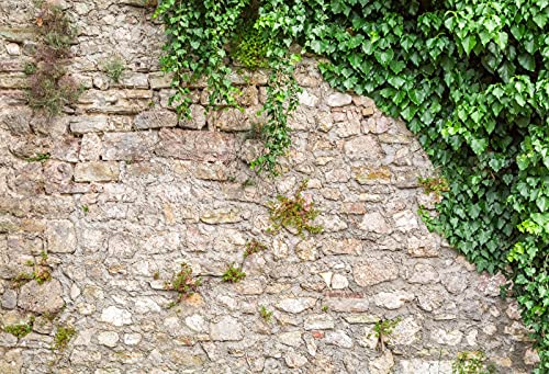 10x8ft Spring Leaves Backdrop Rustic Rock Wall Green Ivy Scenic Backdrop Stone Wall with Green Ivy Phtography Backdround for Child Adult Portrait