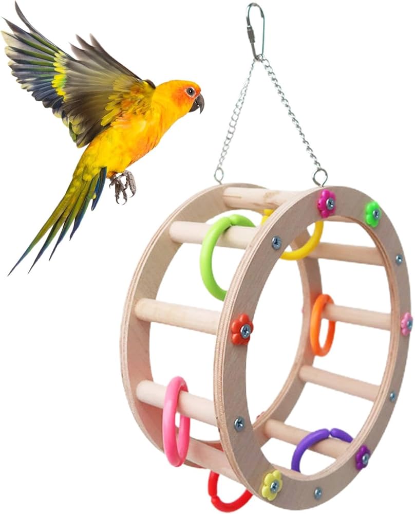鳥の羽専用出品 Amazon | インコ用バードブランコ | 鳥の止まり木用のカラフルな
