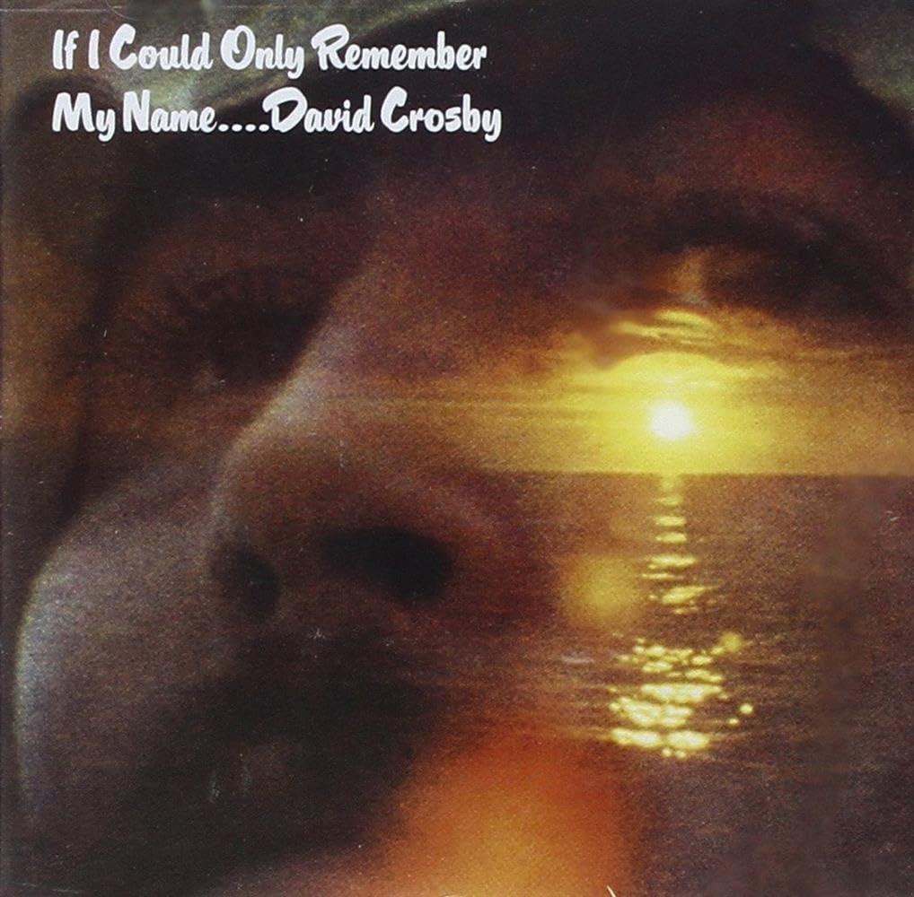 If I Could Only Remember My Name