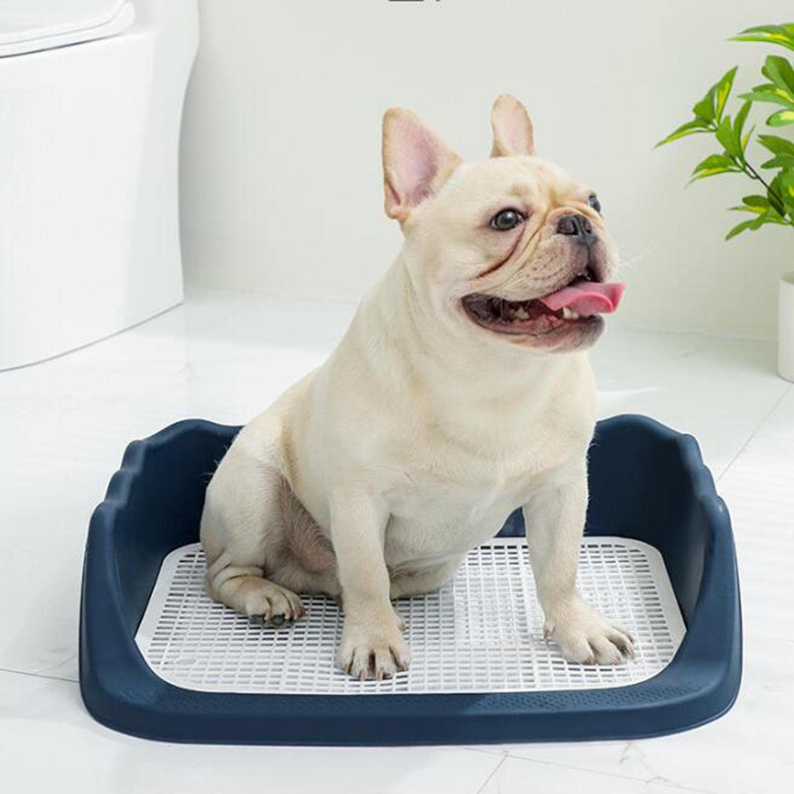 Ecktoilette für Kleintiere, Meerschweinchen Und Kaninchentoilette, Hamstertoilette mit Stabiler PP Konstruktion, Geeignet für, Dunkelblau