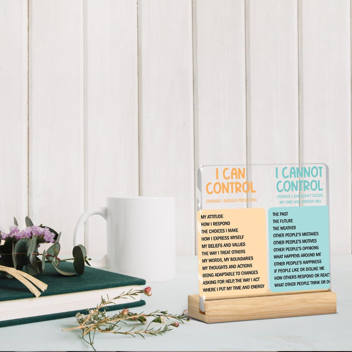 Motivational Office Acrylic Sign,Things I Can't Control Office Decor Sign, Thank You Gifts for Woman Friends Nurse Coworker Decorative Desk Accessories Table Shelf Plaque Signs Decor-01