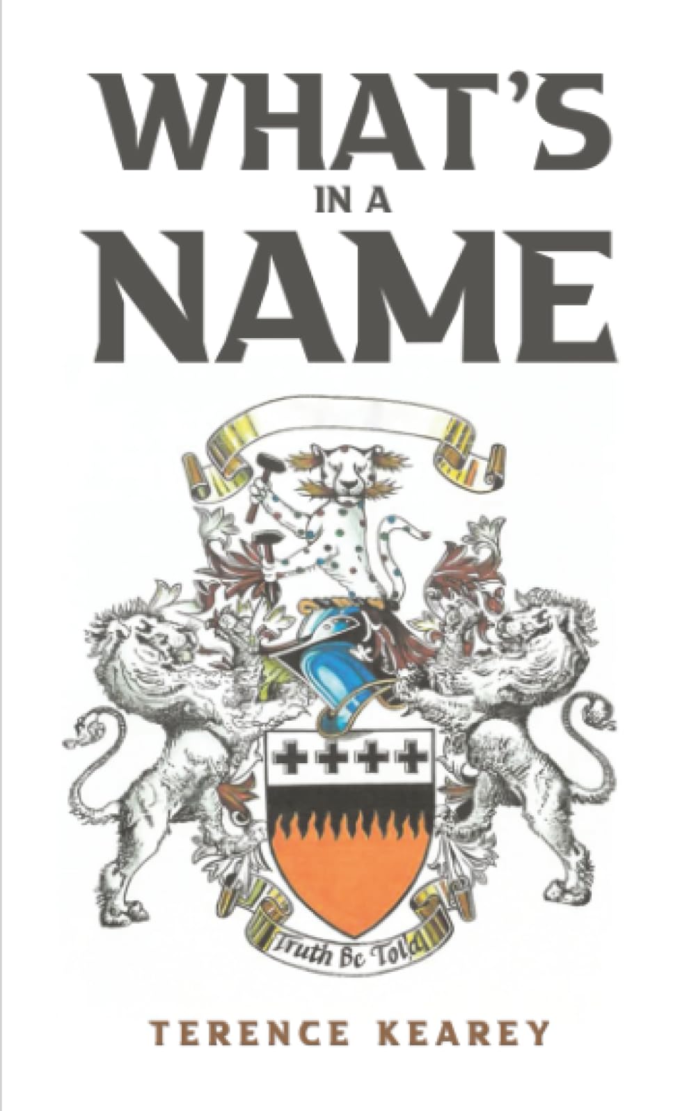 What's in a Name by Terence Kearey (Paperback Book)