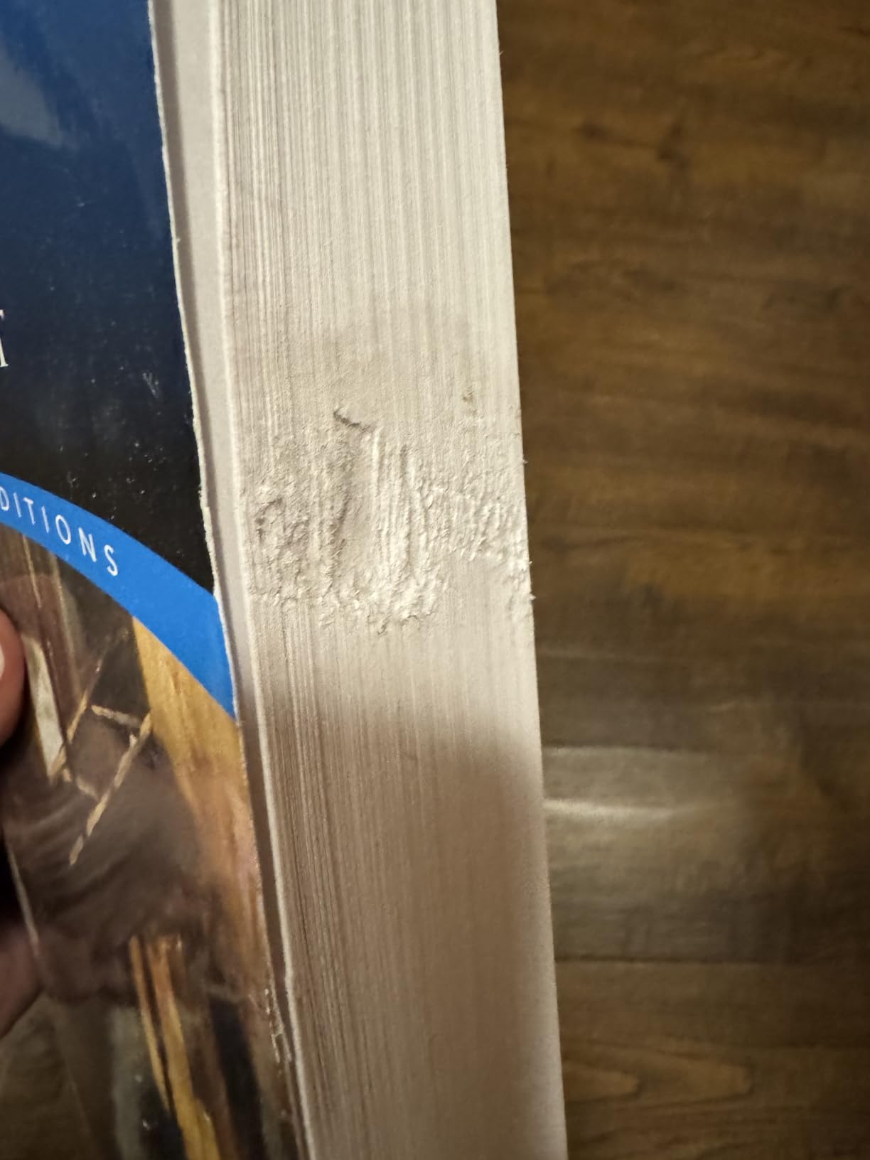 Looks used or chewed by a rodent