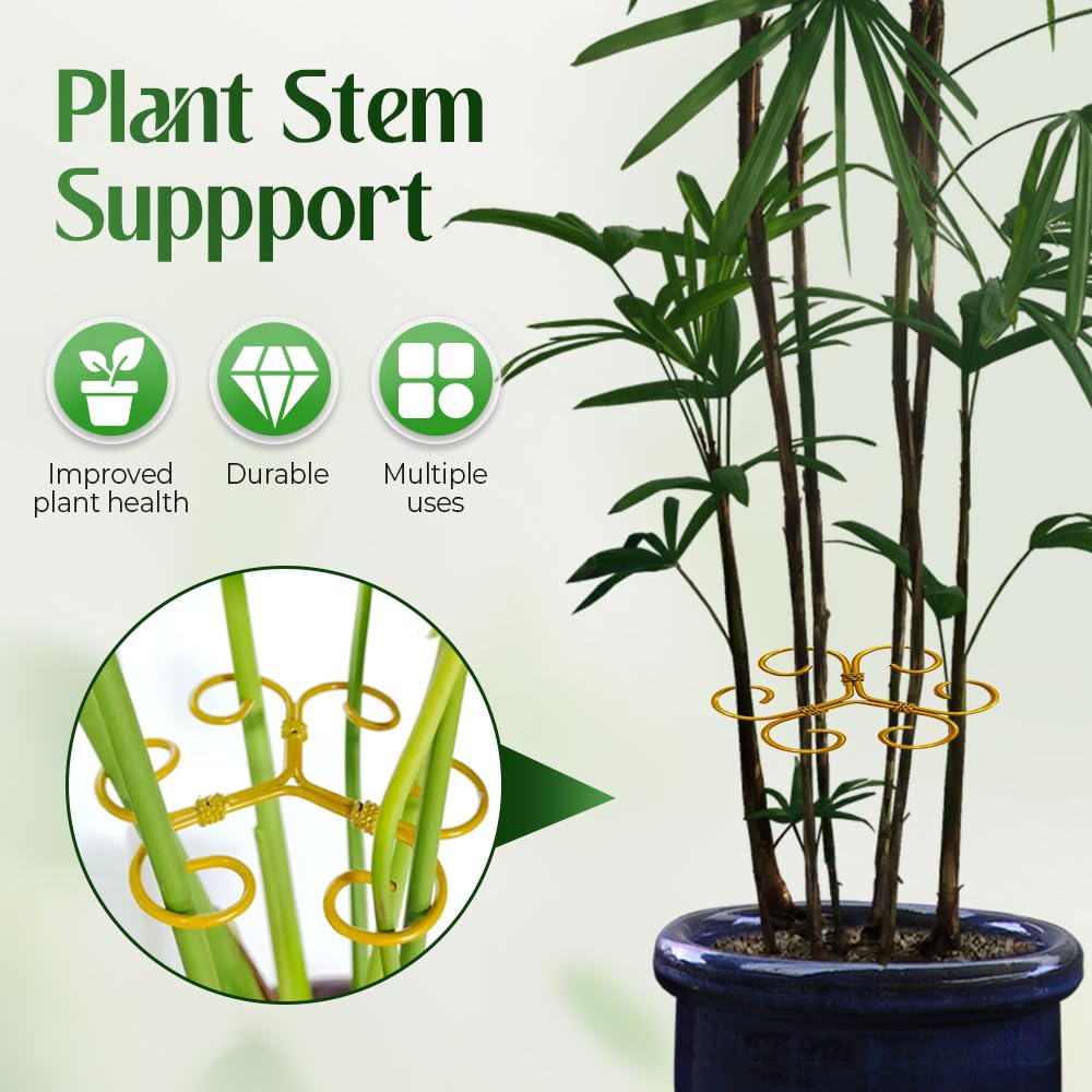 Monstera Lot de 10 supports pour plantes grimpantes - Stabilisateur durable - Clips de jardin pour plantes grimpantes - Support de tige de plante idéal pour une croissance prospère (10 pièces, #A)