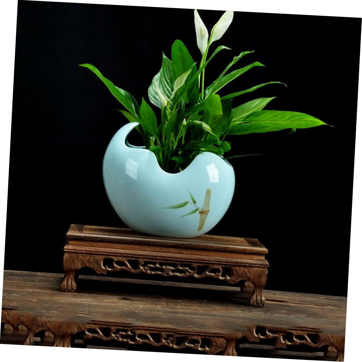 Vasi Per Piante Bonsai 1 Pezzo Vaso in Ceramica Per Fiori Design Accattivante Per Cactus Giardinaggio
