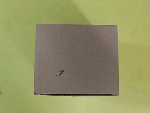 Miniatura 8 de Maceta de conejo, macetas pequeñas para suculentas con drenaje, bonitas macetas de resina de conejo, maceta decorativa de conejo, maceta pequeña