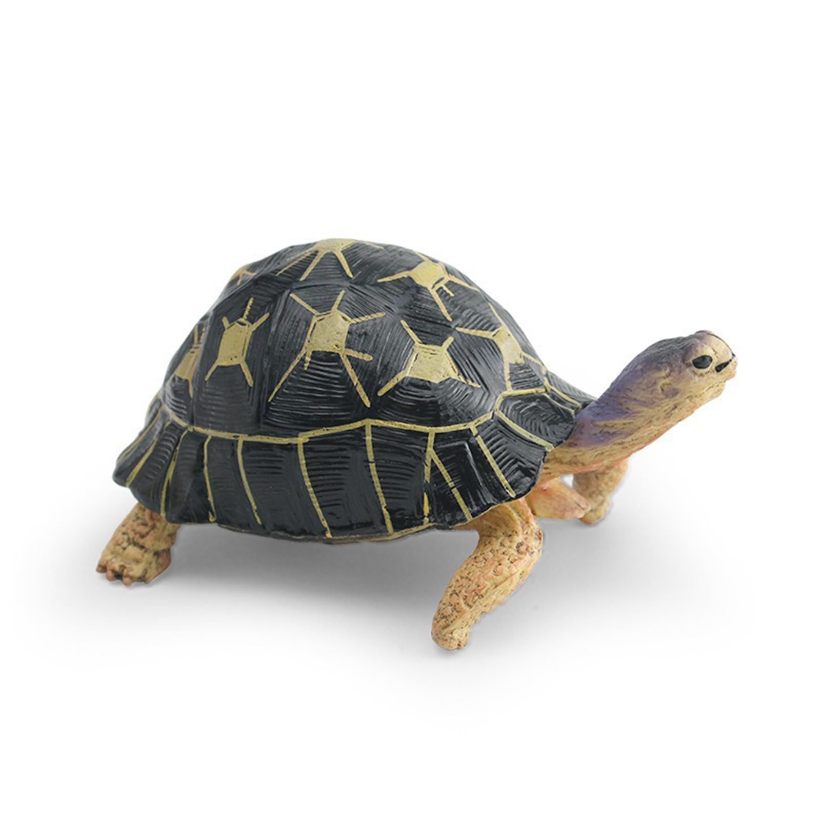 Fogcroll Simulation Model Realistic Tortoise Figurine Miniature Animal Educational Toy Home Office Desktop Decoration Ornament