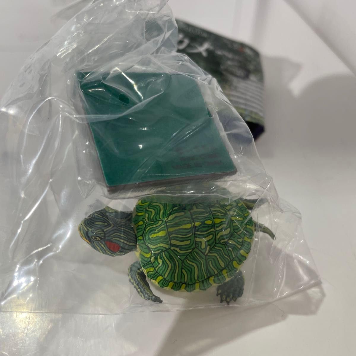 【みどりがめ】 ミドリガメ マグネット×ストラップ – ネイチャーテクニカラー公式