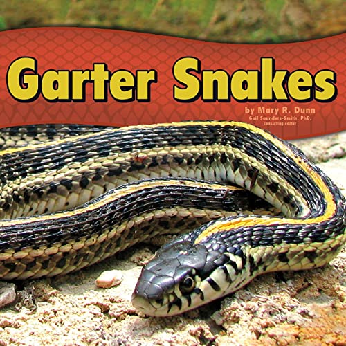 Garter Snakes by Gail Saunders-Smith, Mary R. Dunn episode artwork
