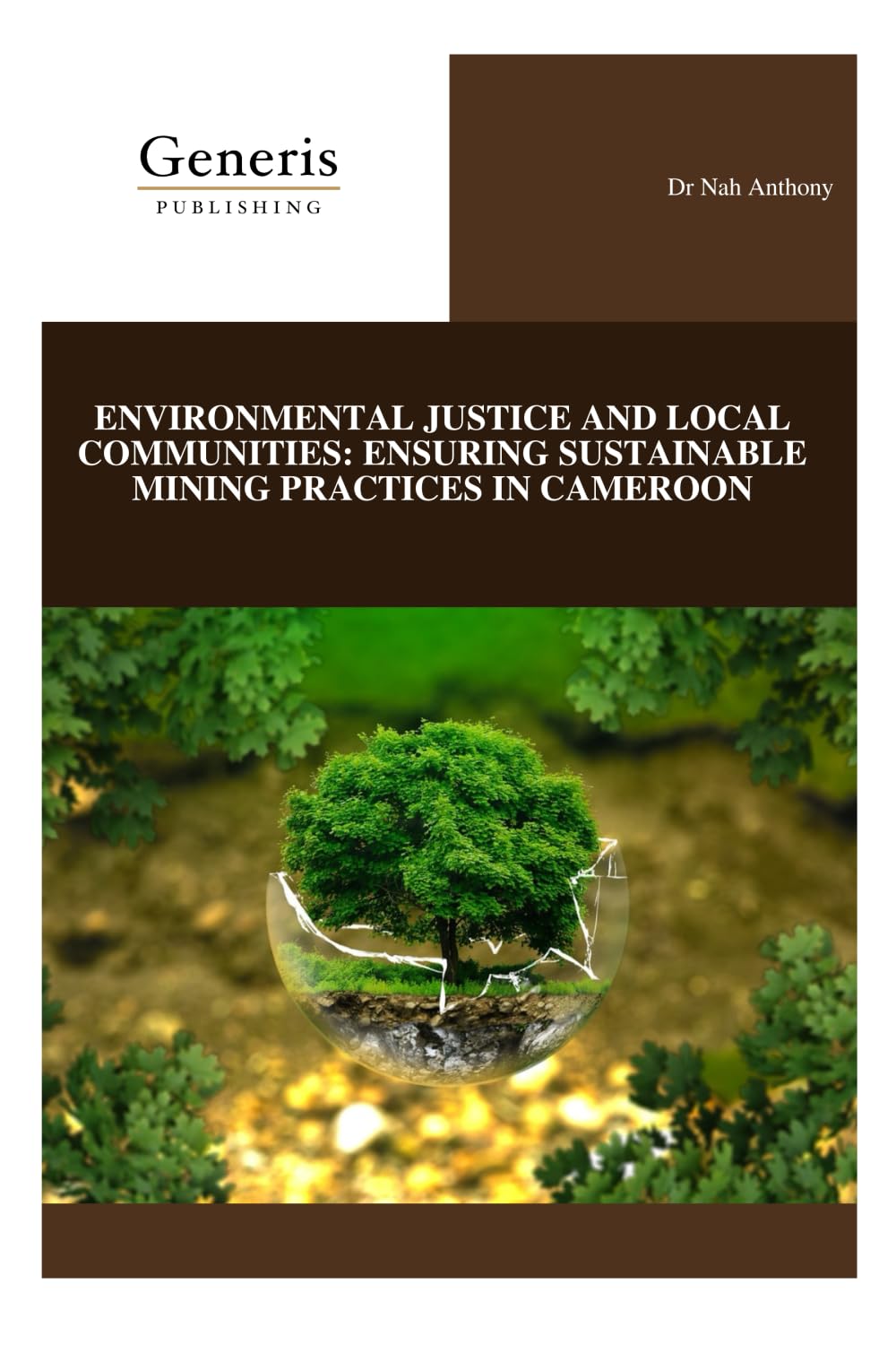 ENVIRONMENTAL JUSTICE AND LOCAL COMMUNITIES: ENSURING SUSTAINABLE MINING PRACTICES IN CAMEROON