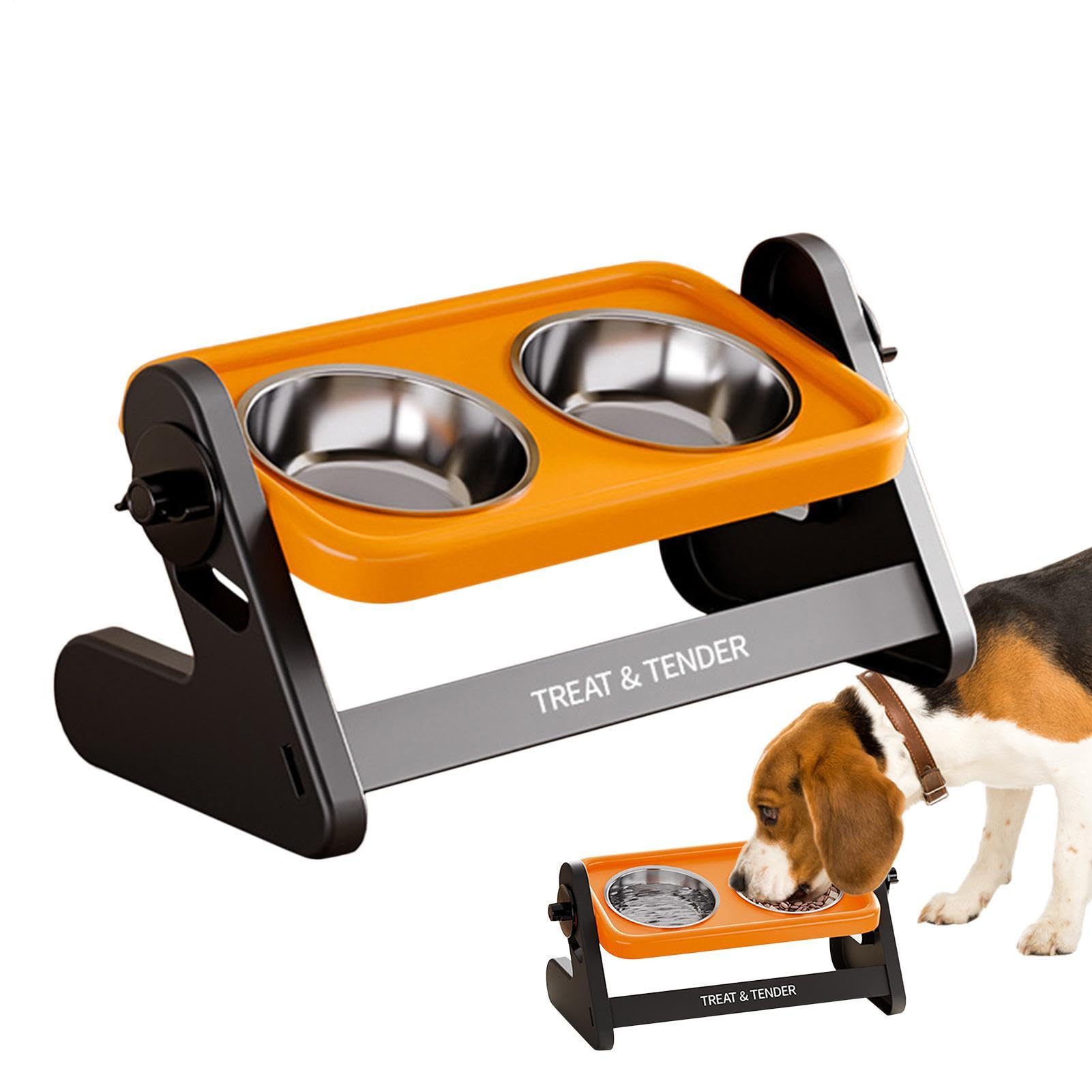 Gamelle chien antidérapante double avec support ergonomique