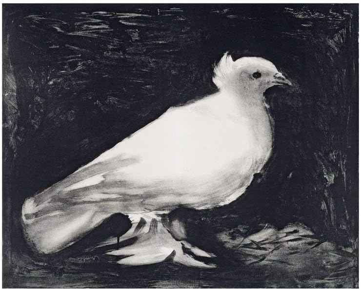 Pablo Picasso, Dove, 1949 - Art Print Poster, Paper Size 11" x 14" Image Size 8" x 10"(4175)