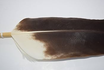 Amazon.co.jp: 茶道具 羽箒 風炉用 右羽根 (8) 茶道 t tz05-002