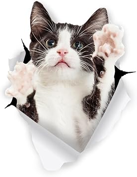 Winston & Bear 3D Cat Stickers - 2 Pack - Reaching Black & White Tuxedo Cat Decals for Wall - Fridge - Toilet - Room - Car - Retail Packaged