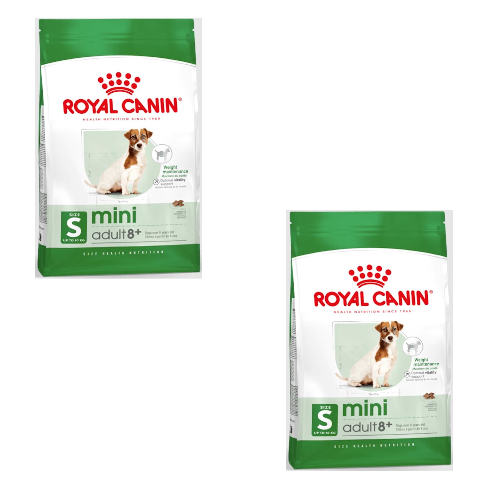 ROYAL CANIN Mini Adult 8+ | Double Pack | 2 x 800 g | Complete Food for Small Dogs (up to 10 kg) | From 8 Years | Can Help Support Vitality