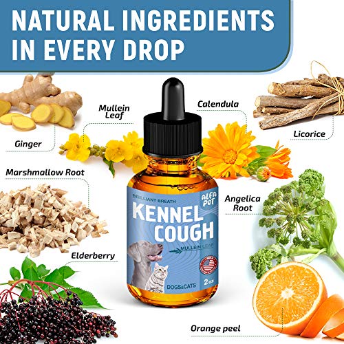 Dog Cough - Kennel Cough - Dog Allergy Relief - Supplements For Dogs & Cats Health - Allergy Relief Immune Supplement for Dogs - for Dry, Wet & Barkly Pet Cough - Suitable For All Sizes Dog Cough - Kennel Cough - Dog Allergy Relief - Supplements For Dogs & Cats Health - Allergy Relief Immune Supplement for Dogs - for Dry, Wet & Barkly Pet Cough - Suitable For All Sizes
