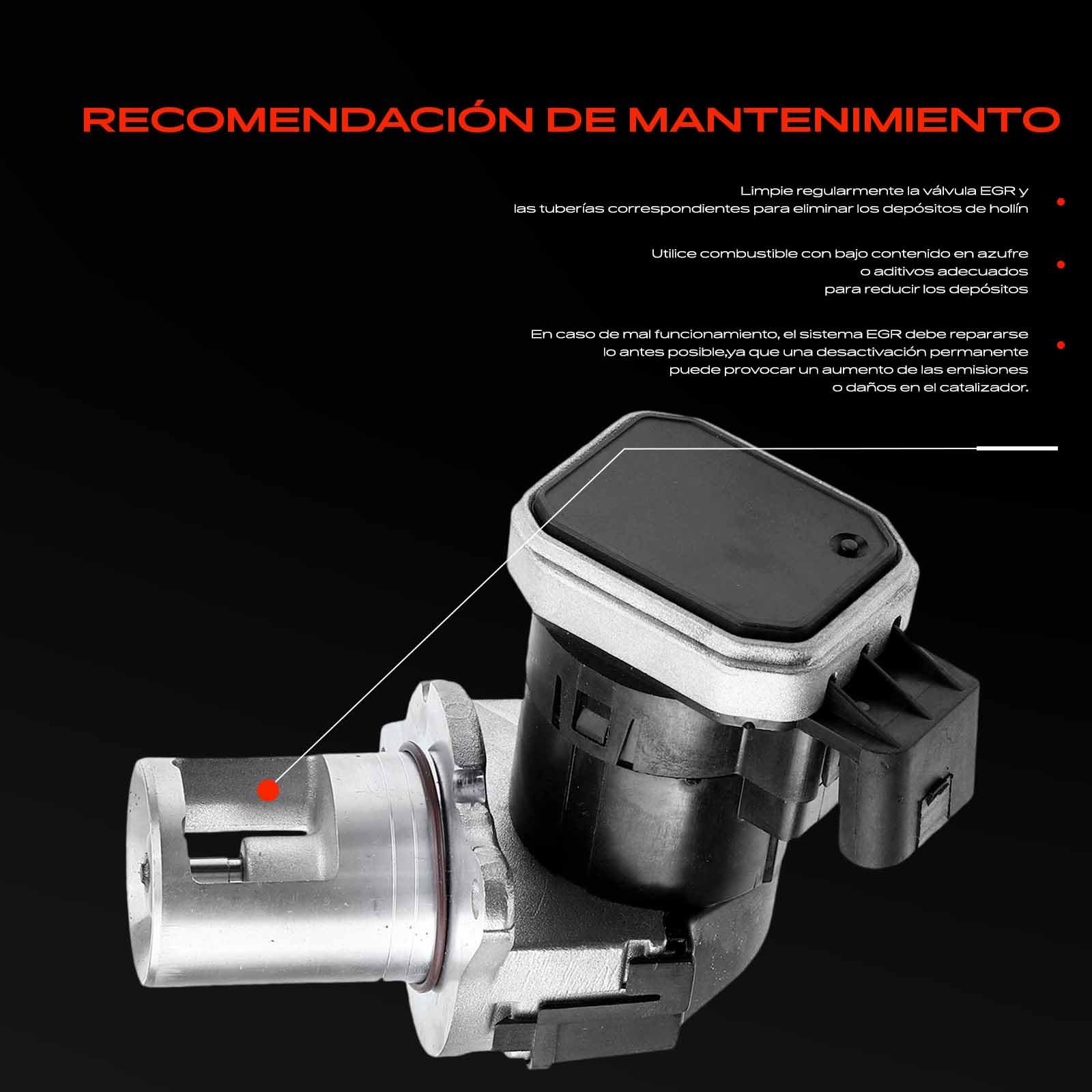 Frankberg Válvula EGR 555165 | Compatible con: Clase C Modelo T S203, Viano W639, Clase E Modelo T S211, Autobús Vito W639, Clase E W211