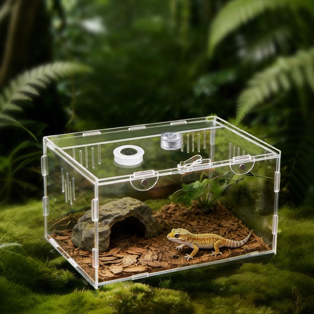 Jaula de terrario construida de acrílico con paredes transparentes, ventilación de triple lado y tapa de bloqueo para seguridad de reptiles pequeños (40 x 25 x 20 cm)