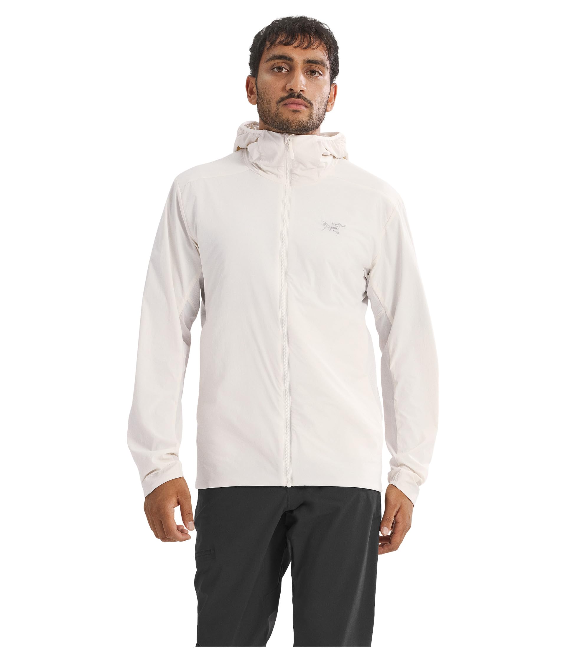 Arc'teryx Men's Atom SL Hoody