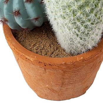 Amazon｜ニトリ フェイクグリーン サボテン 寄せ植え セメント