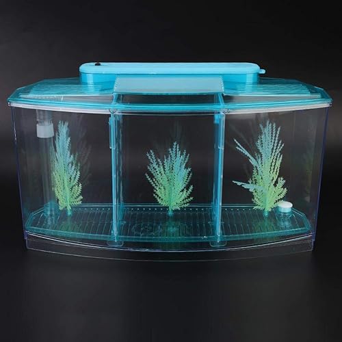 Miniatura 7 de Pescado, peces de reproducción transparente de escritorio, mini acrílico para peces pequeños con luz LED con válvula de cambio de agua para Betta