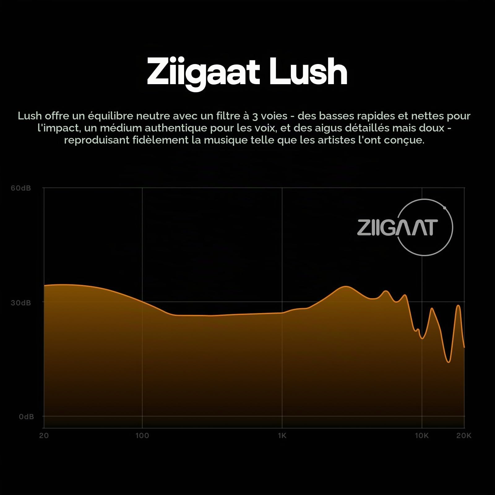 Linsoul ZiiGaat Lush in Ear Monitor, Ecouteurs Hybrides 1DD+4BA IEM, Casque Filaire Écouteurs de Surveillance Studio avec Câble Détachable pour Ingénieurs du Son et Audiophiles Professionnels (Argent)