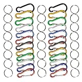Talisman Gear 24 Pack Small Lightweight Aluminum Carabiner Clips for Keychains, Backpacks, Kids, RV, Camping, Fishing, Travel, Home, Organization, Hobby
