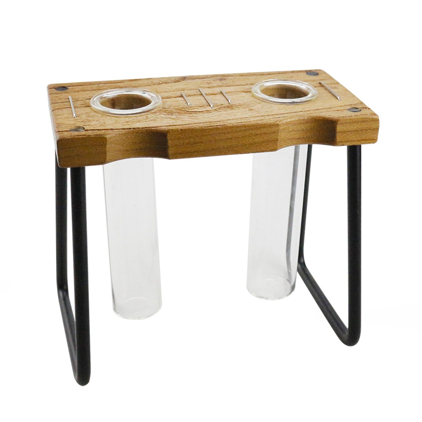Porte-boutures avec support en bois et conteneur de plantation transparent pour bureau