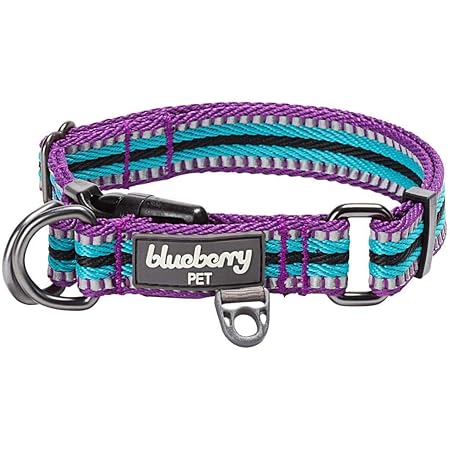 Multi coloured dog collar Clearance