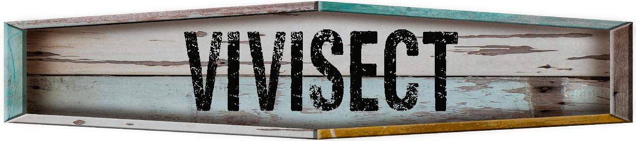 VIVISECT Teal Diamond 8" Shaped Weathered Painted Wood Look Decal Bumper Sticker for use on Any Smooth Surface