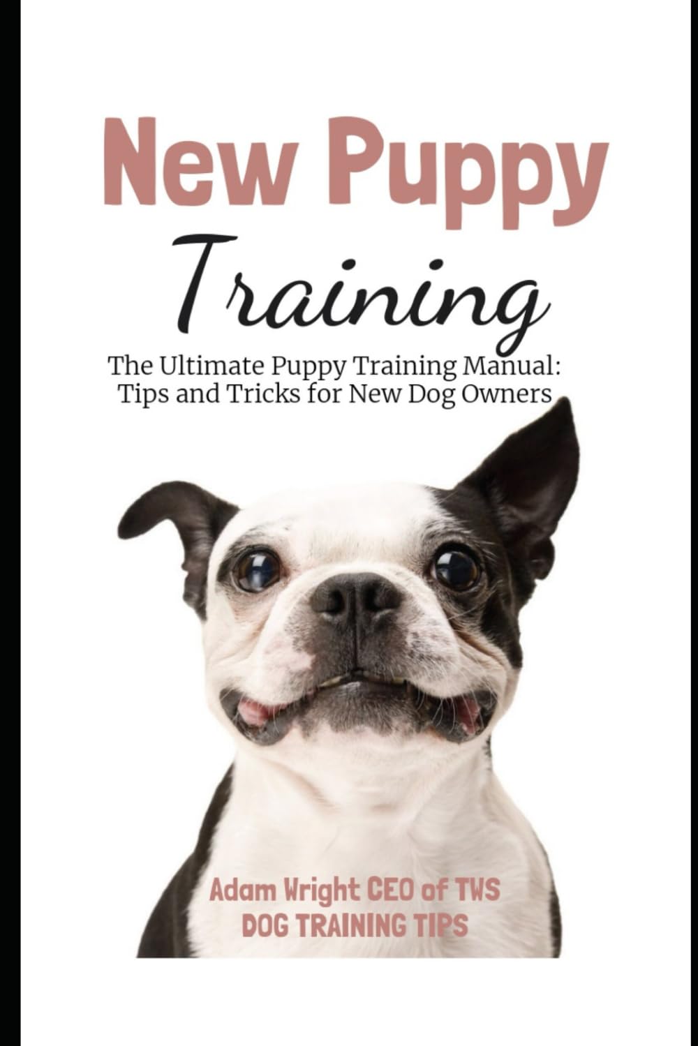 New Puppy Training Tips and Tricks for New Dog Owners