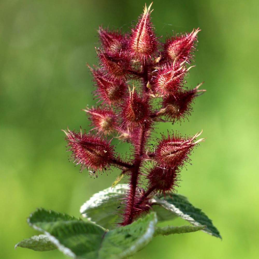 View 2
