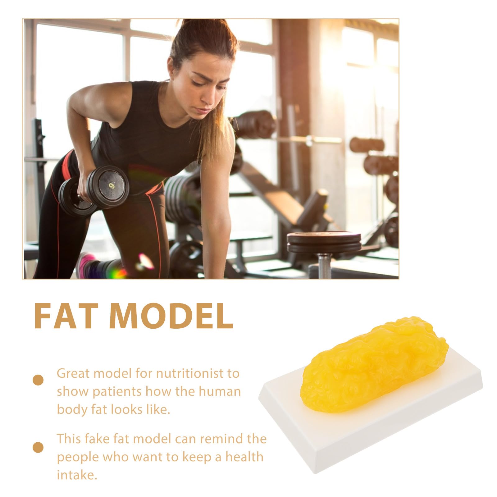 YARNOW Modèle de Graisse Corporelle en Plastique Jaune, 1 Livre, Outil Éducatif pour Nutritionnistes et Patients, pour Salle de Fitness et Motivation Sportive