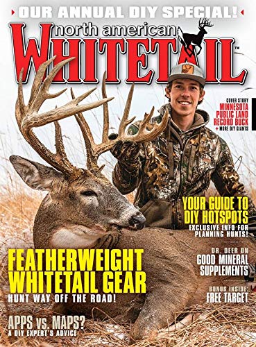 North American Whitetail