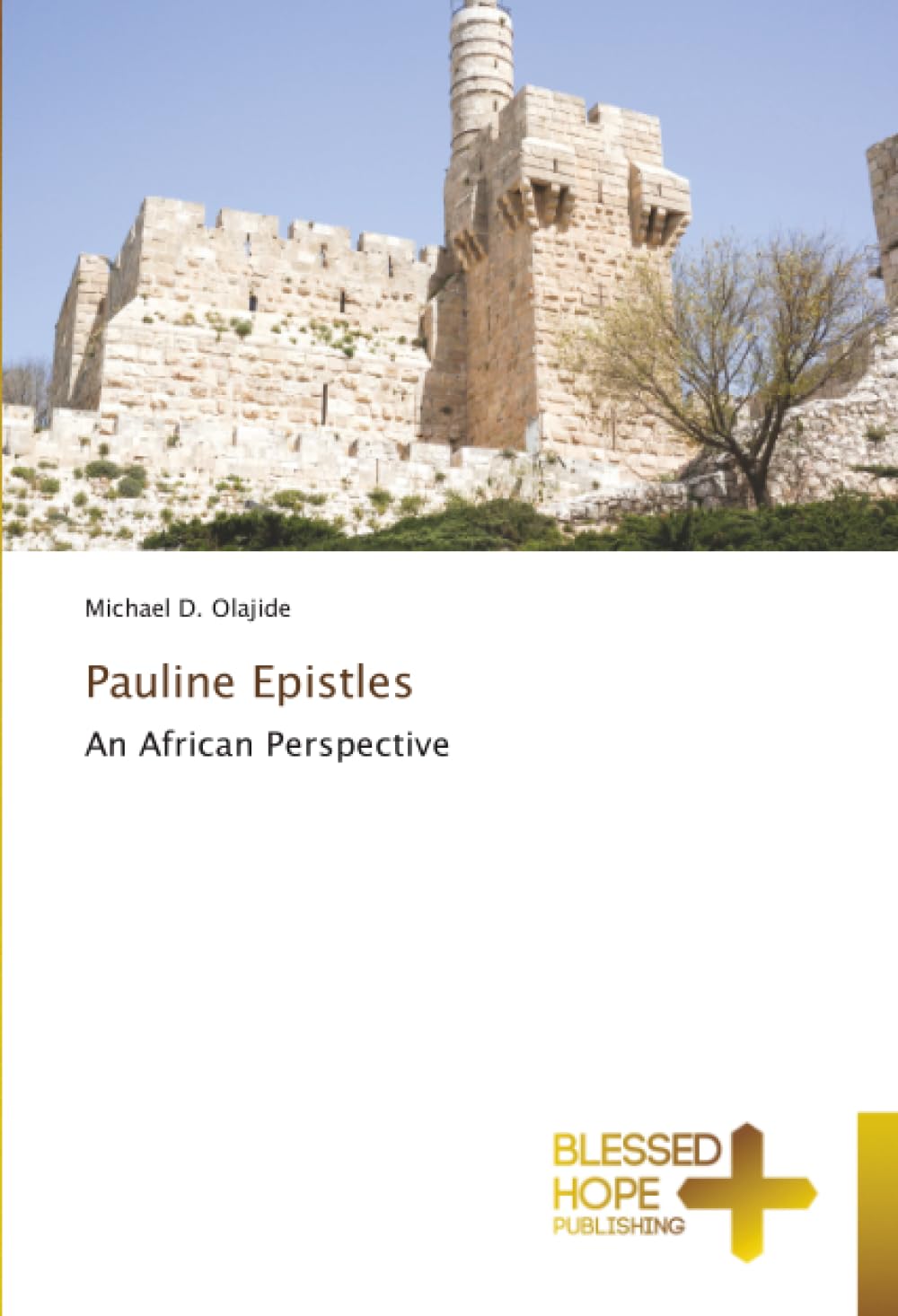 Pauline Epistles: An African Perspective