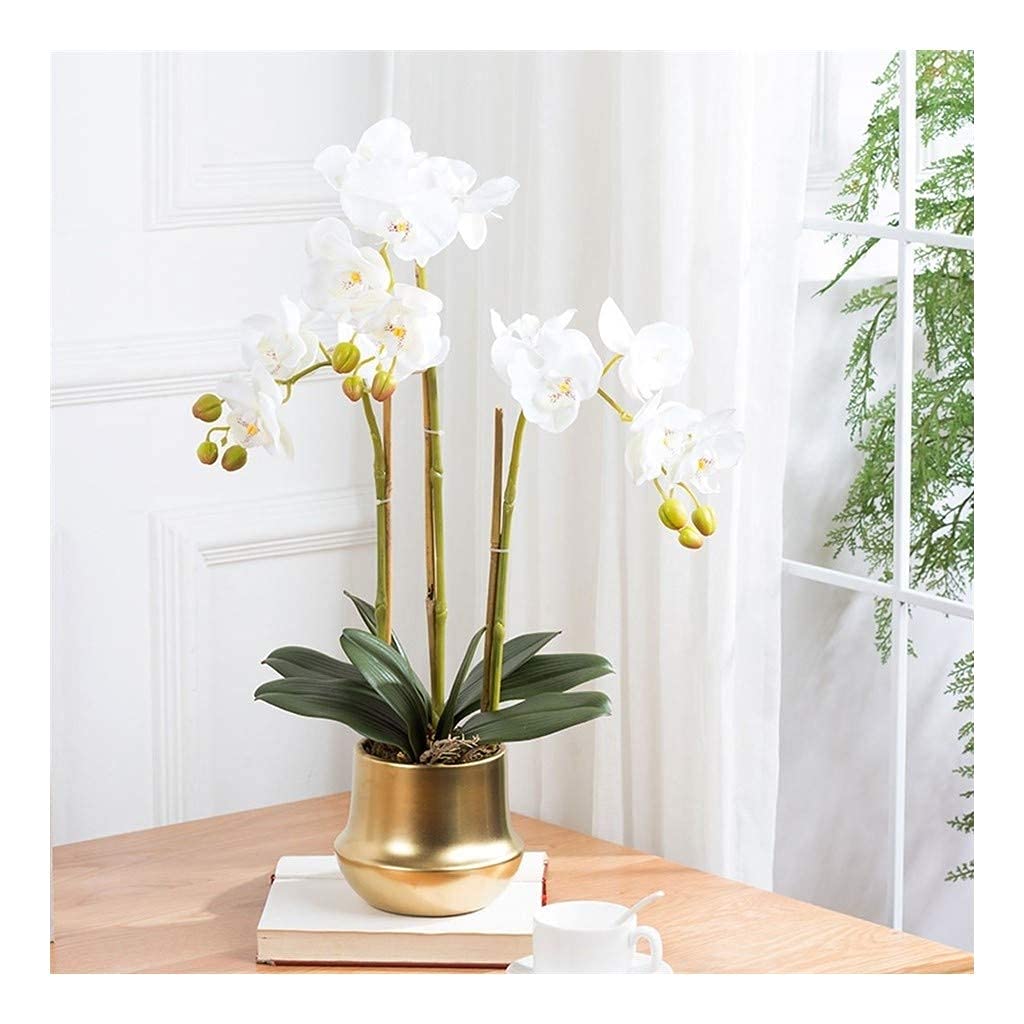 XDLEDMKIZ Realistic Artificial Flower Phalaenopsis Artificial Flower with Glass Vase Decorative Silk Flower Arrangement Simulation Bonsai Fake Flower Planting Floral Set