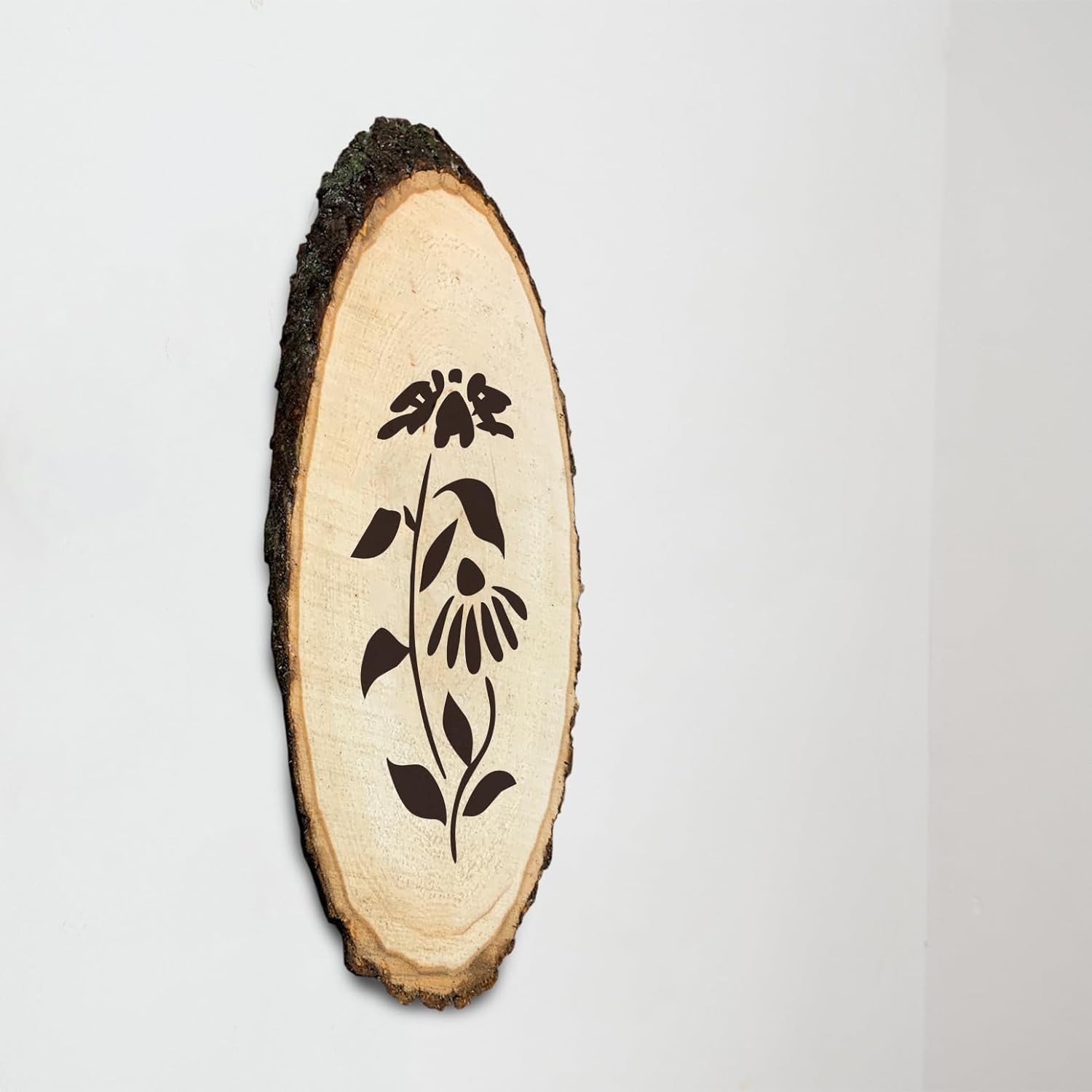 Wilson Basswood Elongated Round Slice (Large 20-30" 3pk)