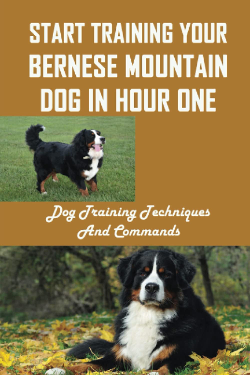 Start Training Your Bernese Mountain Dog In Hour One: Dog Training Techniques And Commands: How To Train For Your Bernese Mountain