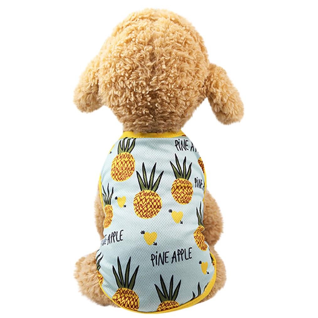 Cats And Dogs Dress The Dress Shop