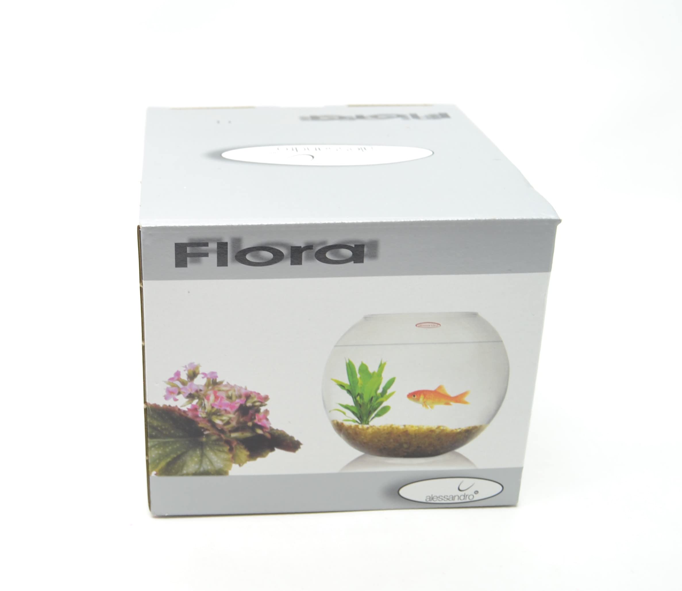Jarrón Pecera, 14cm, Florero/Terrario de vidrio.