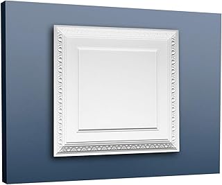 Suchergebnis auf Amazon.de für: deckenplatten 60x60