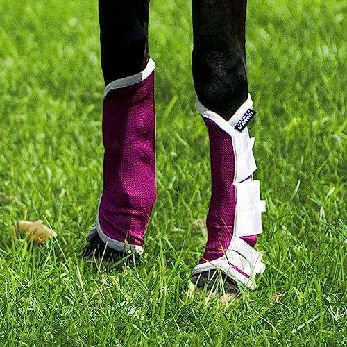 Image of Harrison Howard Horse Fly Boots Leg Guards Fly Boots Protection Set of 4 Amethyst Large Full Size