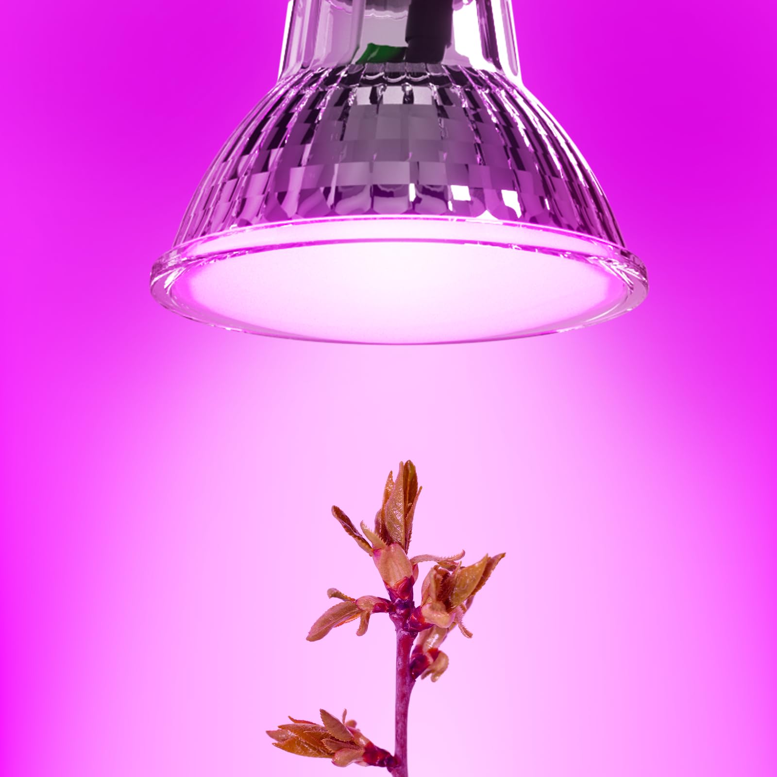 ANTELA LED Lampadina per Piante da Interno, Lampade per Crescita GU10 3.5W 200LM, Luci Diurne per Semina, Fioritura, Fruttificazione - 5 Pack