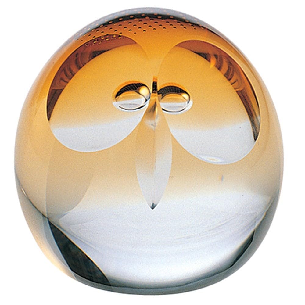 Amazon.com: Caithness Glass Piece Crystal Wise Owl Celebrations