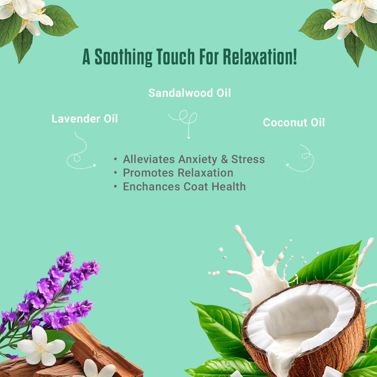 Wags & Tails Relaxing massage Oil for Dogs & Cats|Cold pressed Coconut, Lavender & Sandalwood oil|Instantly Calms Anxiety,Reduce stress, Relaxes Pets & Nourishes Skin|Improves dog coat and hair health 1