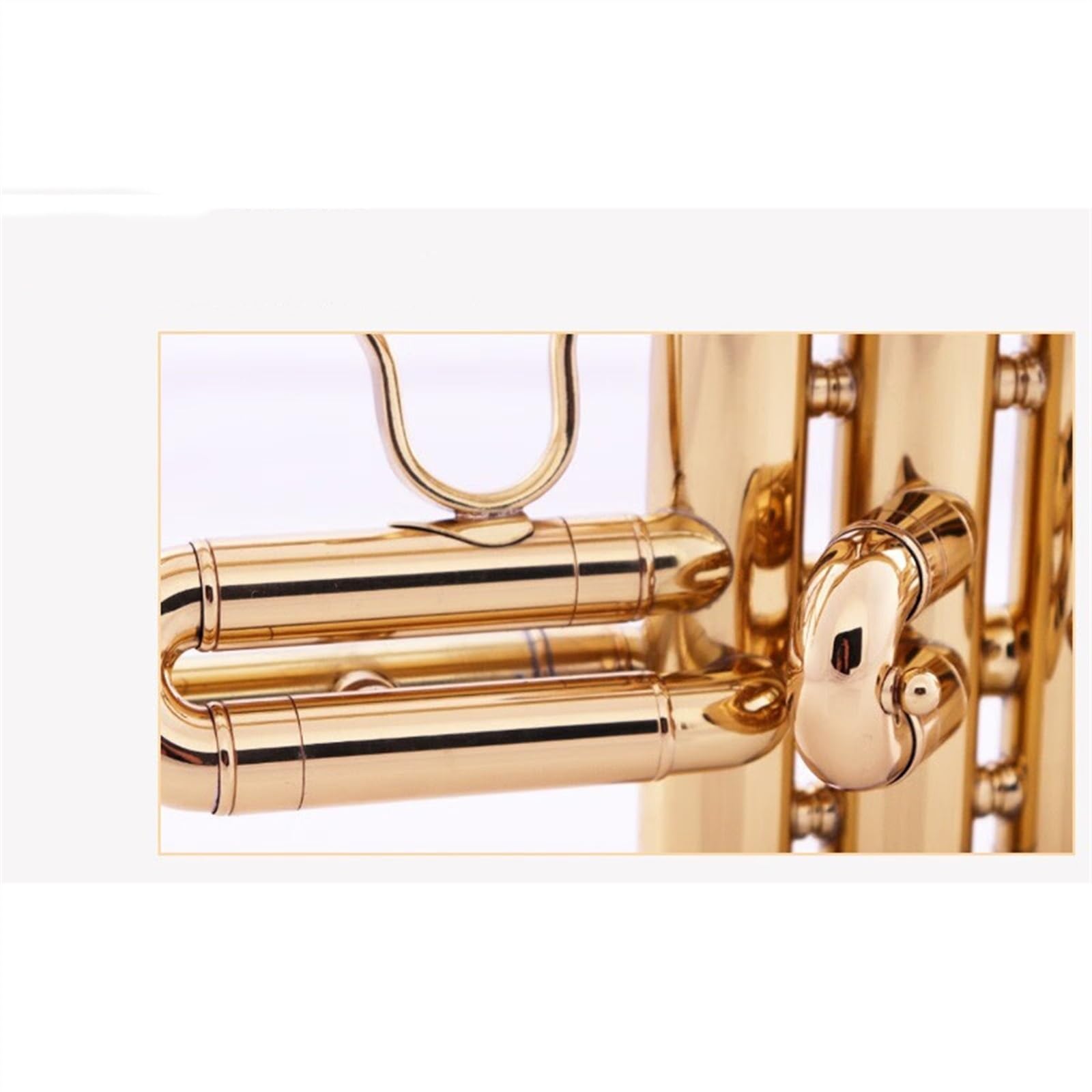 Professionisti tromba Tromba Per Strumenti A Fiato Per Principianti In Ottone Dorato