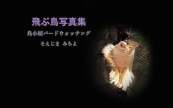 とぶとり zs41_1220.jpg?w=532&h=299&