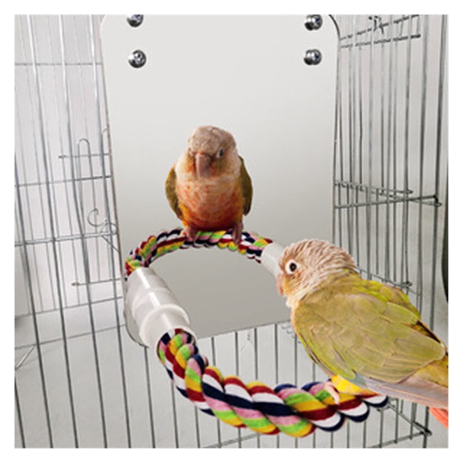 Vogelspielzeug Vogelstand Haustier Zubehör Kaubiss Hängende Käfig Swing Klettern Seil Spiegel Spielzeug Mode Vogel Papageispielzeug (Color : Silver)