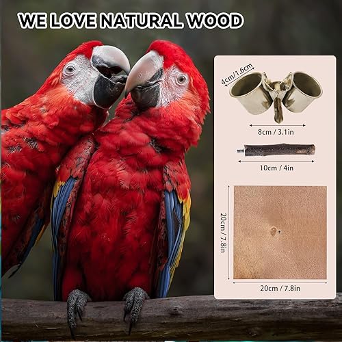 Miniatura 4 de Soporte de perca para pájaros, soporte portátil de mesa para pájaros, perca de entrenamiento de loros para periquitos, conures, tortolitos o cacatúas