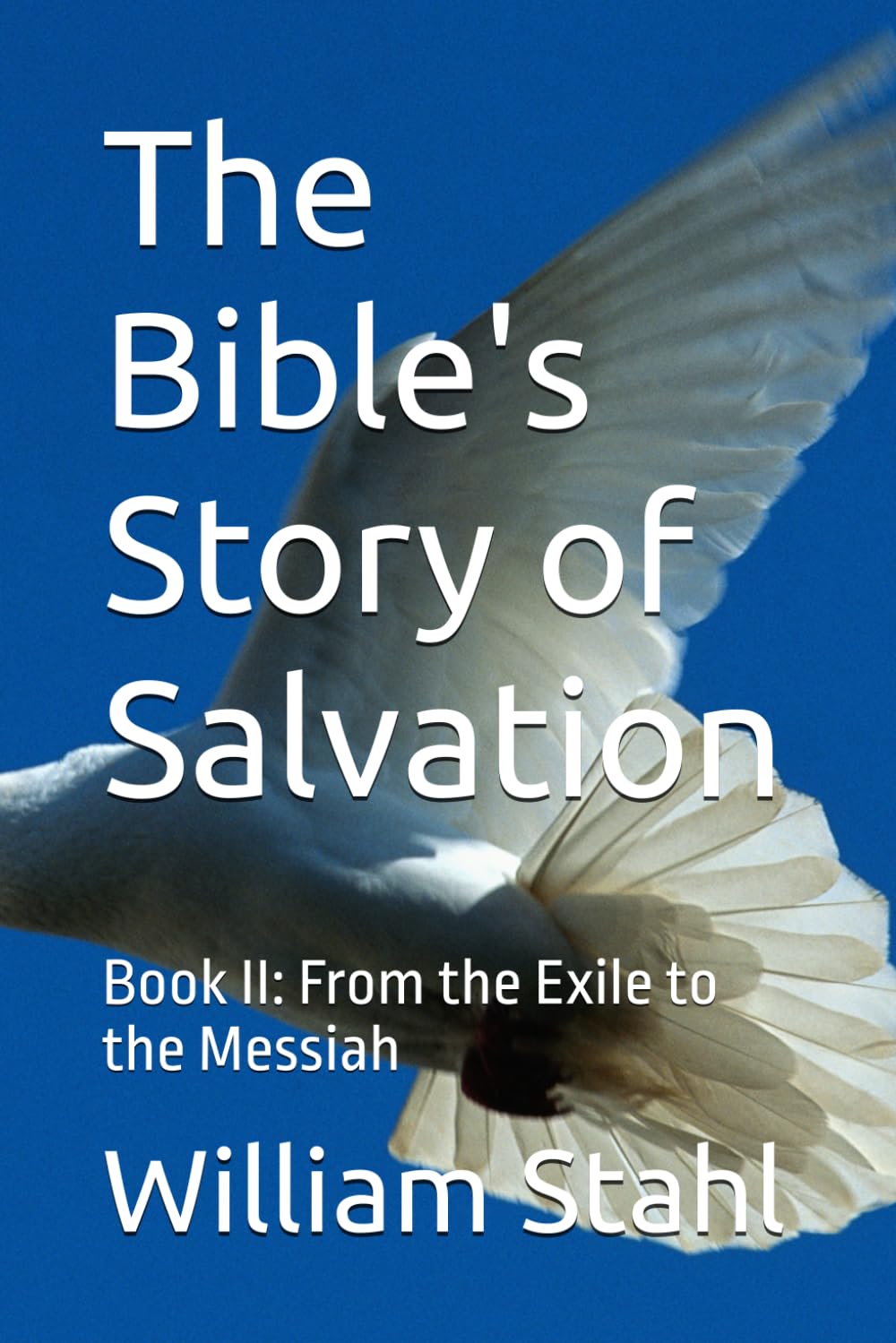 The Bible's Story of Salvation: Book II: From the Exile to the Messiah